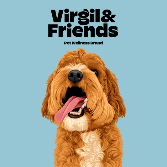 Dog Conditioner (250ml)